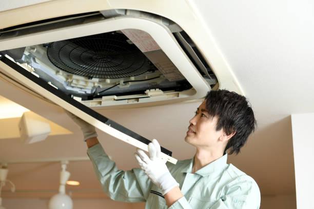 Best HVAC Maintenance and Cleaning  in Delano, MN